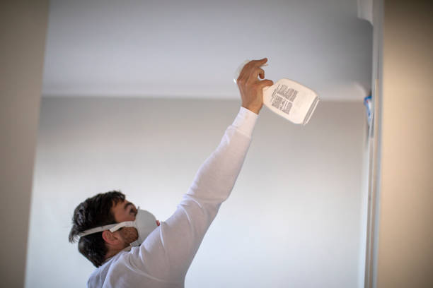 Best White Mold Remediation in Baytown, TX