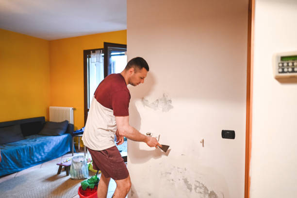 Best Localized Mold Remediation (e.g., coastal areas, humid climates) in Baytown, TX